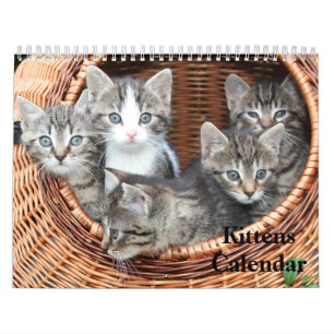 Schattige Kittens 2027 Bengaalse Tijger Kalender