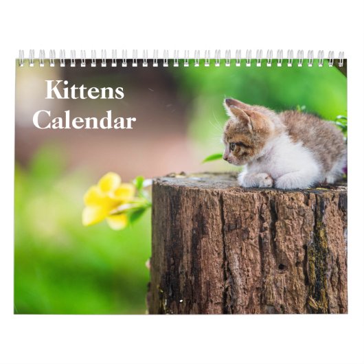 Schattige Kittens 2027 Bengaalse Tijger Kalender (Hoes)