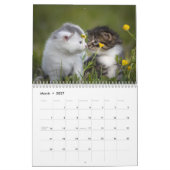 Schattige Kittens 2027 Bengaalse Tijger Kalender (Mar 2027)