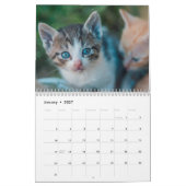 Schattige Kittens 2027 Bengaalse Tijger Kalender (Jan 2027)