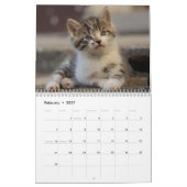 Schattige Kittens 2027 Bengaalse Tijger Kalender (Feb 2027)