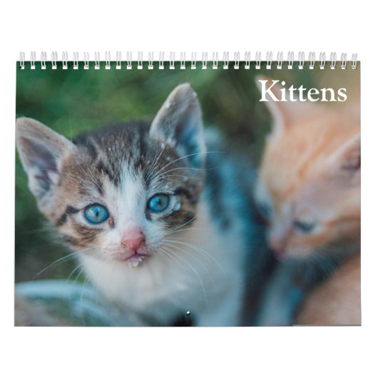 Schattige Kittens 2027 Kalender (Hoes)