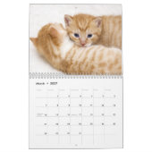 Schattige Kittens 2027 Kalender (Mar 2027)