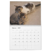 Schattige Kittens 2027 Kalender (Feb 2027)