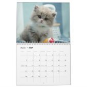 Schattige Kittens 2027 Kalender (Mar 2027)