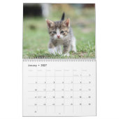 Schattige Kittens 2027 Kalender (Jan 2027)