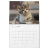 Schattige Kittens 2027 Kalender (Feb 2027)