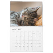 Schattige Kittens 2027 Kalender (Jan 2027)