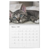 Schattige Kittens 2027 Kalender (Feb 2027)