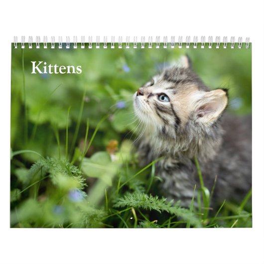 Schattige Kittens 2027 Kalender (Hoes)