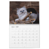 Schattige Kittens 2027 Kalender (Mar 2027)