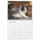 Schattige Kittens 2027 Kalender (Jan 2027)