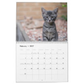 Schattige Kittens 2027 Kalender (Feb 2027)