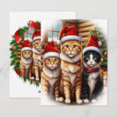 Schattige Kittens Feestdagenkaart (Voorkant / Achterkant)