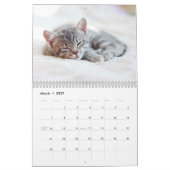 Schattige Kittens-fotokalender Kalender (Mar 2027)