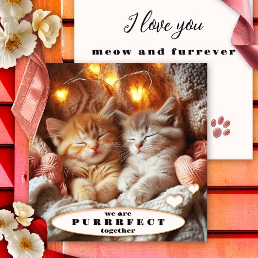 Schattige Kittens Happy Valentines Day Kaart