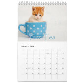 Schattige Kittens & Hartverwarmende Gezegden Grote Kalender (Jan 2026)