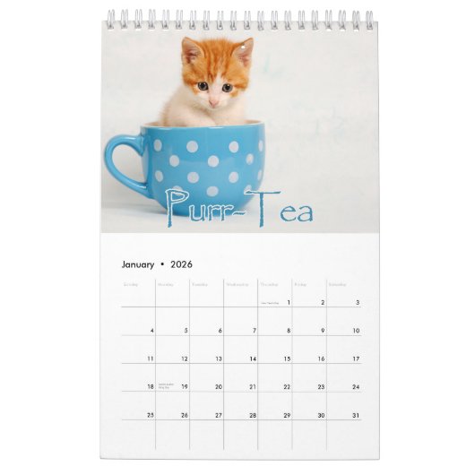 Schattige Kittens & Hartverwarmende Gezegden Grote Kalender (Jan 2026)