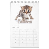 Schattige Kittens & Hartverwarmende Gezegden Grote Kalender (Mar 2026)