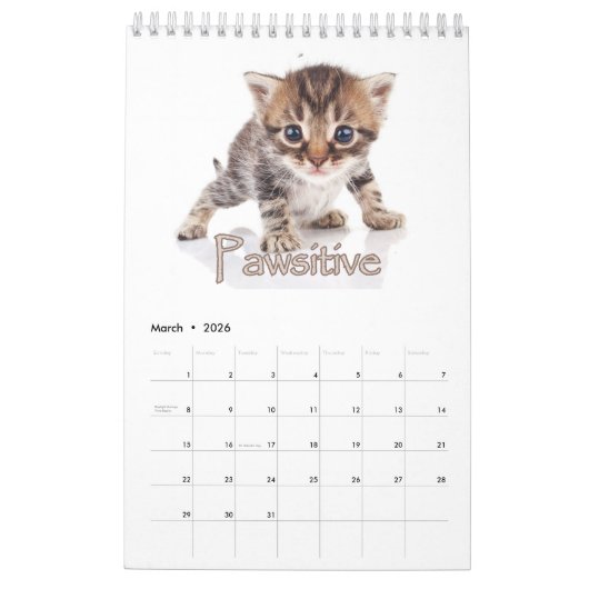 Schattige Kittens & Hartverwarmende Gezegden Grote Kalender (Mar 2026)