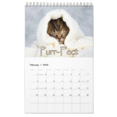 Schattige Kittens & Hartverwarmende Gezegden Grote Kalender (Feb 2026)