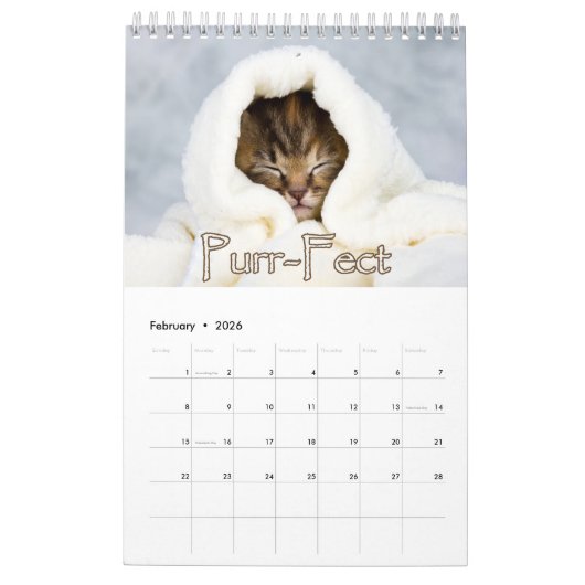 Schattige Kittens & Hartverwarmende Gezegden Grote Kalender (Feb 2026)