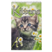 Schattige Kittens & Hartverwarmende Gezegden Grote Kalender (Hoes)