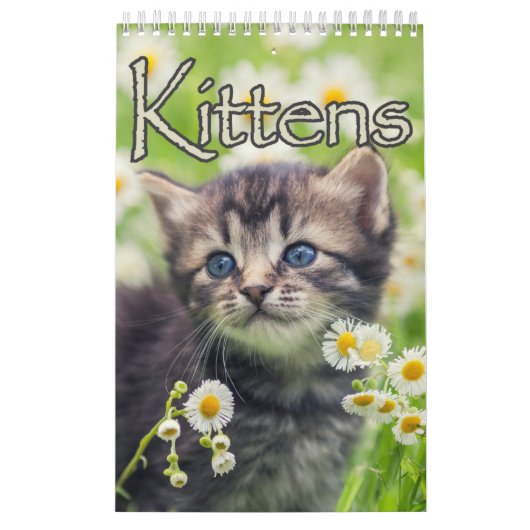 Schattige Kittens & Hartverwarmende Gezegden Grote Kalender (Hoes)