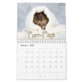 Schattige Kittens & Hartverwarmende Gezegden Muur Kalender (Feb 2026)