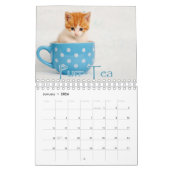 Schattige Kittens & Hartverwarmende Gezegden Muur Kalender (Jan 2026)