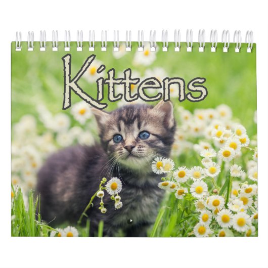 Schattige Kittens & Hartverwarmende Gezegden Muur Kalender (Hoes)