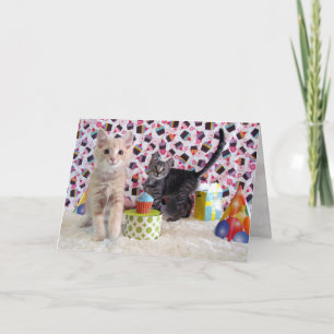 Schattige Kittens - Kat/Keuten-Kaart op zaterdag Kaart