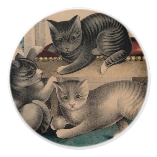 Schattige Kittens Lithograaf Keramische Knop (Voorkant)