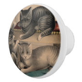 Schattige Kittens Lithograaf Keramische Knop (Rechts)
