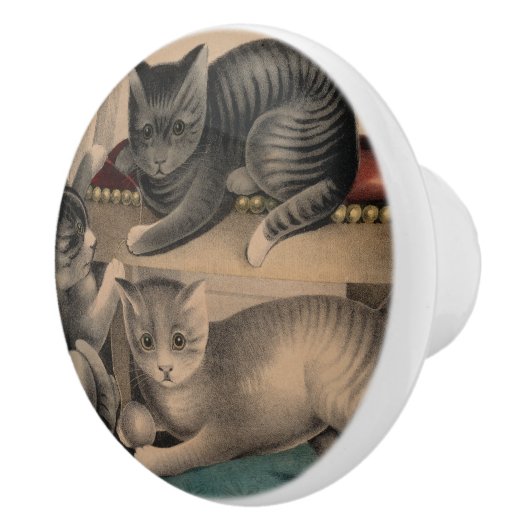 Schattige Kittens Lithograaf Keramische Knop (Rechts)