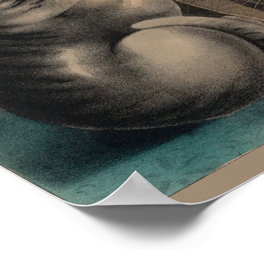  Schattige Kittens Lithograaf Poster (Hoek)