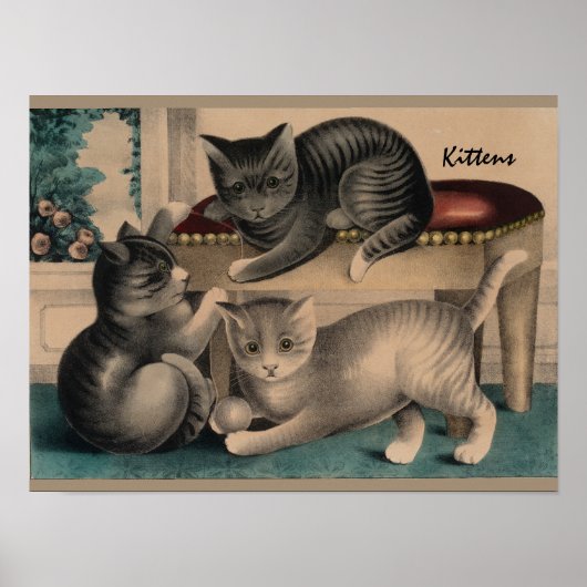  Schattige Kittens Lithograaf Poster (Voorkant)