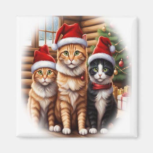 Schattige Kittens Magneet (Voorkant)