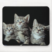 Schattige Kittens Muismat (Voorkant)