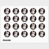 Schattige Kittens Ronde Sticker (Vel)