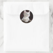 Schattige Kittens Ronde Sticker (Tas)