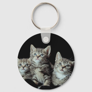 Schattige Kittens Sleutelhanger