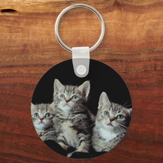 Schattige Kittens Sleutelhanger (Voorkant)