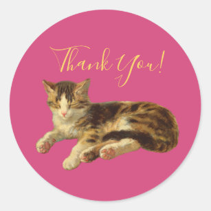 Schattige Kitty Cat Dank u Magenta Gold Script Ronde Sticker