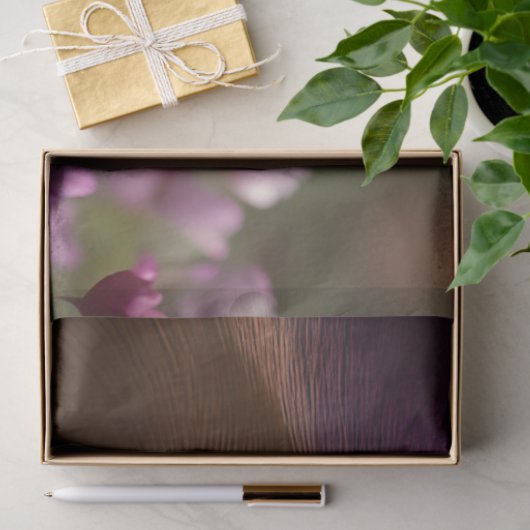 Schattige Kitty cat, Turquoise Eyes Tissuepapier (Geschenk)