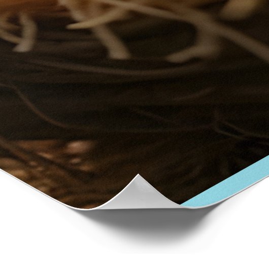 SCHATTIGE KLEIN LAM IN EEN KRIBBE POSTER (Hoek)