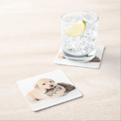 schattige kleine kattenslaapt in de handen van de  kartonnen onderzetters (Insitu)