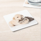 schattige kleine kattenslaapt in de handen van de  kartonnen onderzetters (Schuin)