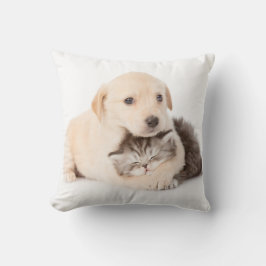 schattige kleine kattenslaapt in de handen van de  kussen