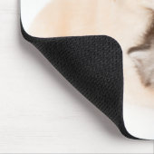 schattige kleine kattenslaapt in de handen van de  muismat (Hoek)